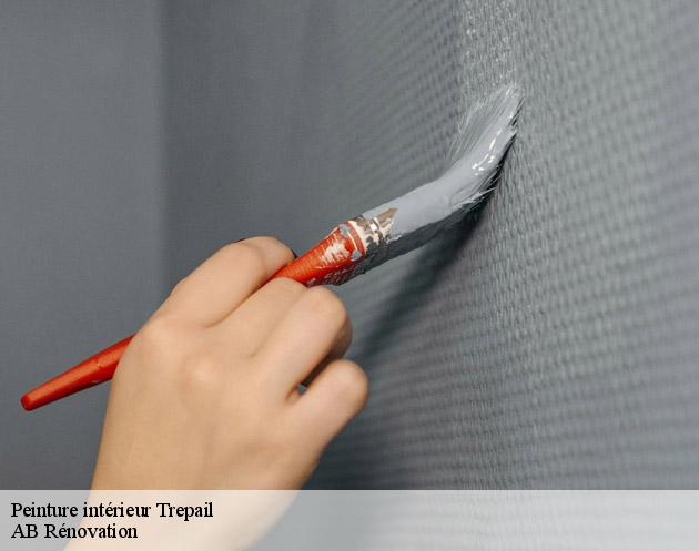 Peinture intérieur  trepail-51380 AB Rénovation