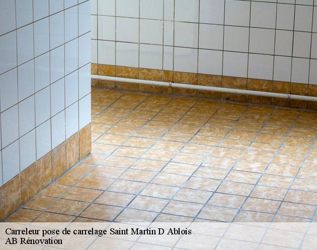 Carreleur pose de carrelage  saint-martin-d-ablois-51200 AB Rénovation