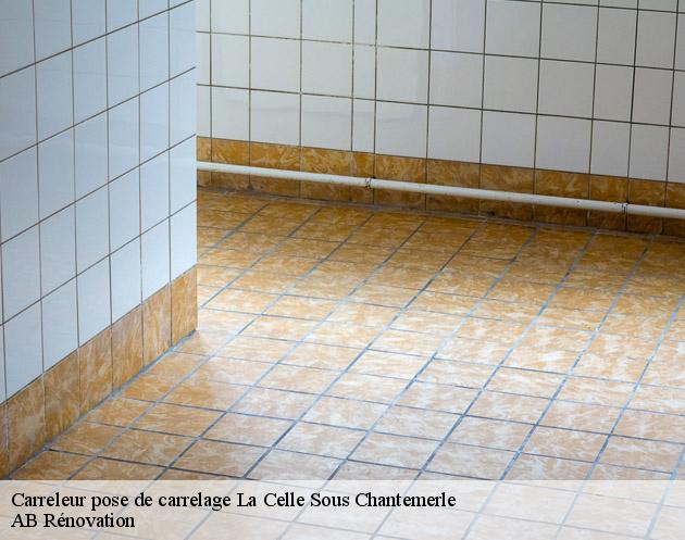 Carreleur pose de carrelage la-celle-sous-chantemerle-51260 AB Rénovation