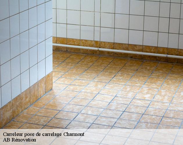 Carreleur pose de carrelage charmont-51330 AB Rénovation