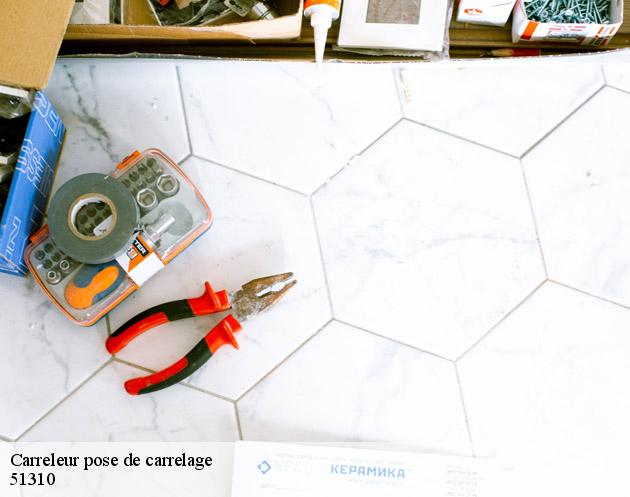 Carreleur pose de carrelage  courgivaux-51310 AB Rénovation