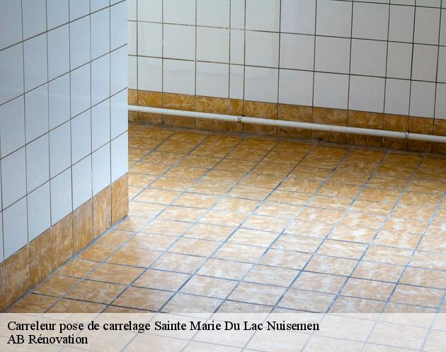 Carreleur pose de carrelage sainte-marie-du-lac-nuisemen-51290 AB Rénovation