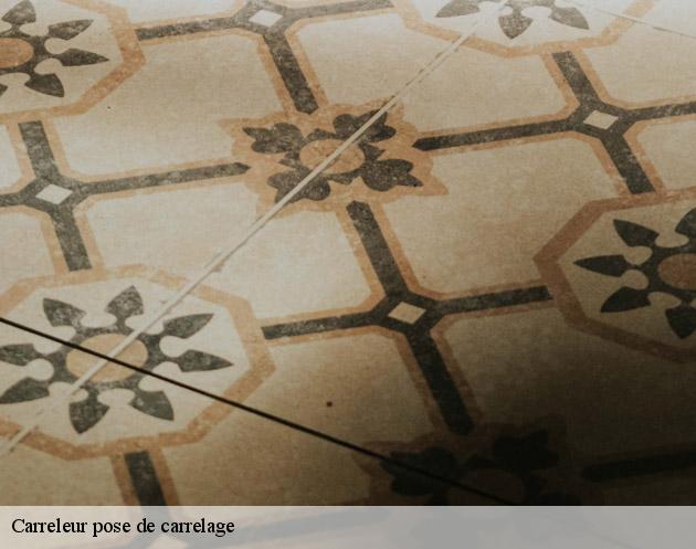 Carreleur pose de carrelage  lavannes-51110 AB Rénovation