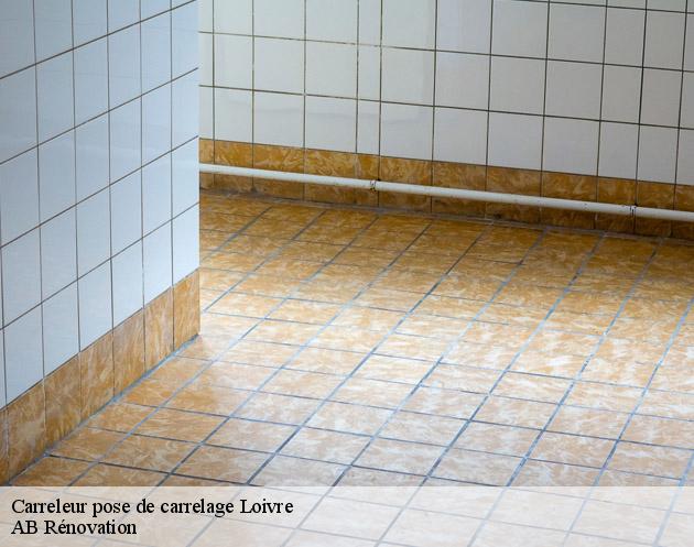 Carreleur pose de carrelage loivre-51220 AB Rénovation