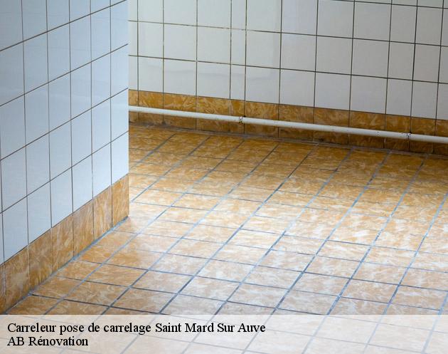 Carreleur pose de carrelage saint-mard-sur-auve-51800 AB Rénovation
