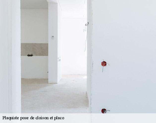Plaquiste pose de cloison et placo  sogny-en-l-angle-51340 AB Rénovation